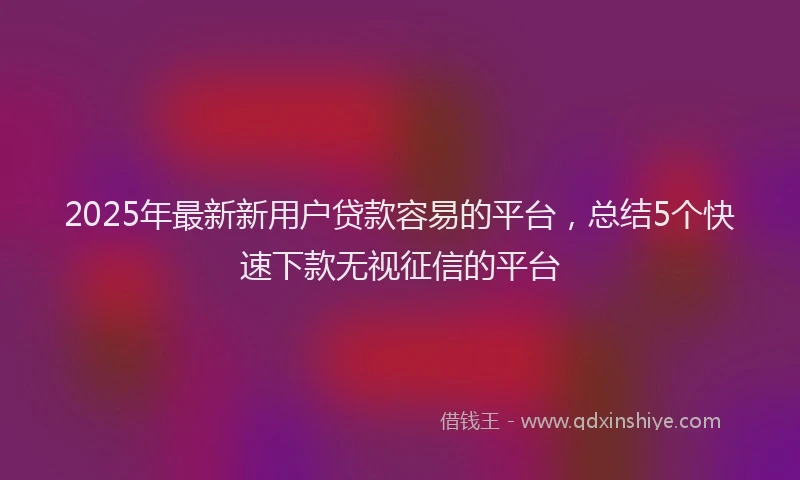 2025年最新新用户贷款容易的平台，总结5个快速下款无视征信的平台
