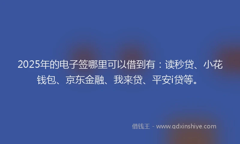 2025年的电子签哪里可以借到有：读秒贷、小花钱包、京东金融、我来贷、平安i贷等。