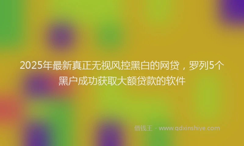 2025年最新真正无视风控黑白的网贷，罗列5个黑户成功获取大额贷款的软件