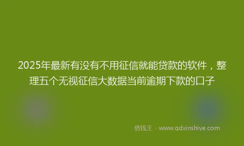 2025年最新有没有不用征信就能贷款的软件，整理五个无视征信大数据当前逾期下款的口子