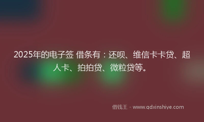 2025年的电子签 借条有：还呗、维信卡卡贷、超人卡、拍拍贷、微粒贷等。