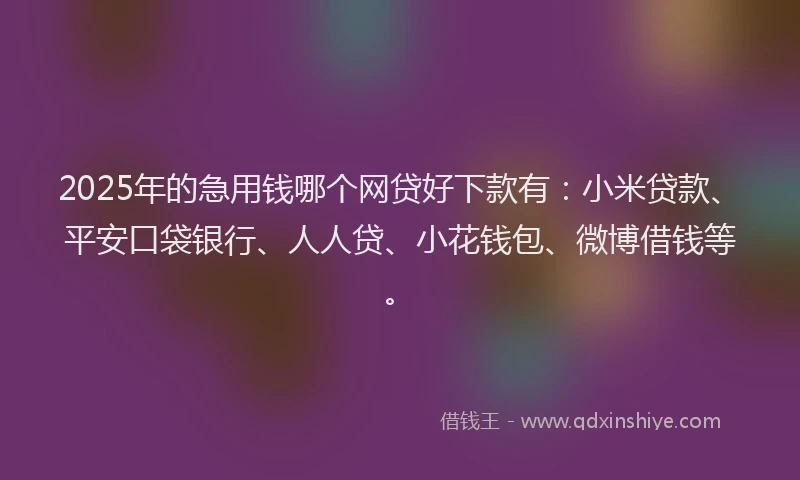 2025年的急用钱哪个网贷好下款有：小米贷款、平安口袋银行、人人贷、小花钱包、微博借钱等。