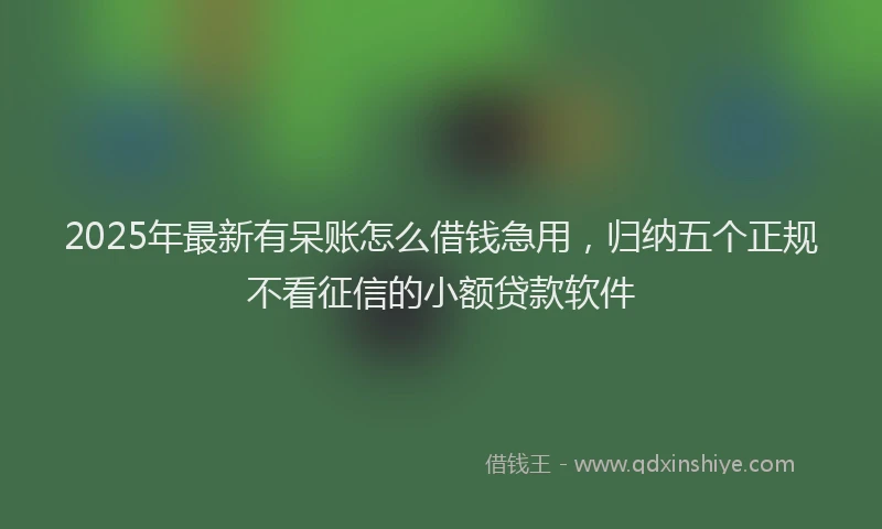 2025年最新有呆账怎么借钱急用，归纳五个正规不看征信的小额贷款软件