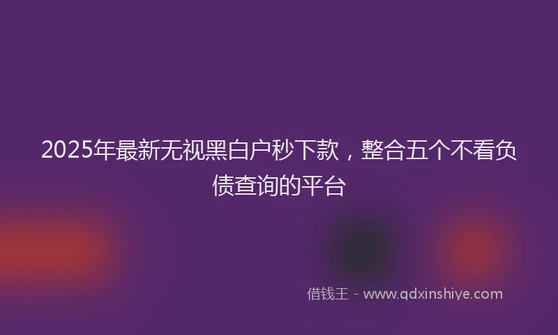 2025年最新无视黑白户秒下款，整合五个不看负债查询的平台