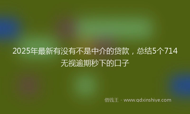 2025年最新有没有不是中介的贷款，总结5个714无视逾期秒下的口子