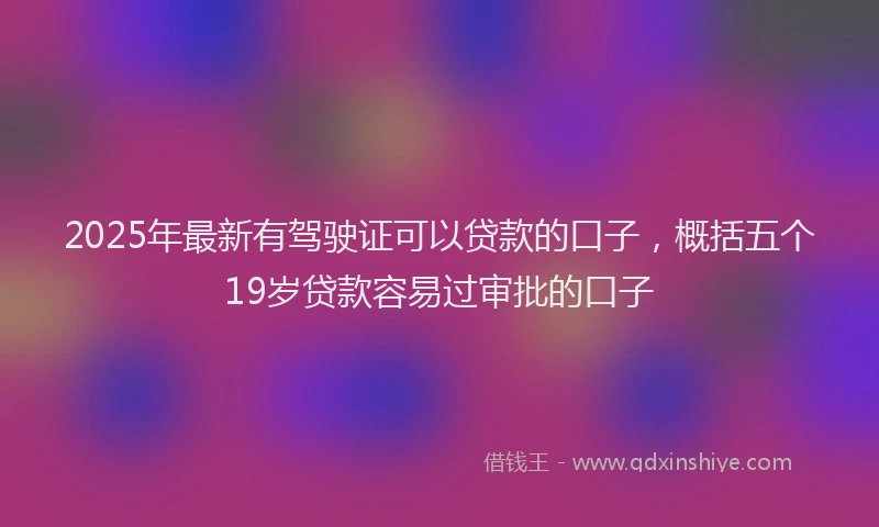 2025年最新有驾驶证可以贷款的口子，概括五个19岁贷款容易过审批的口子