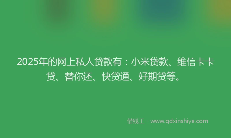2025年的网上私人贷款有：小米贷款、维信卡卡贷、替你还、快贷通、好期贷等。