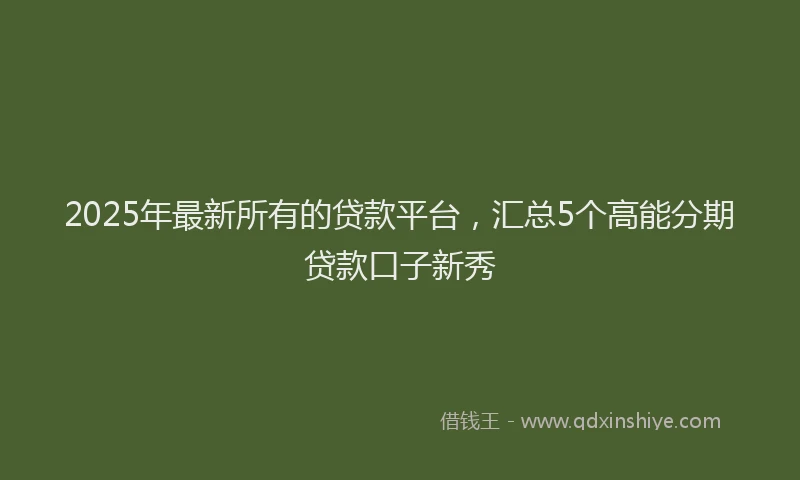 2025年最新所有的贷款平台，汇总5个高能分期贷款口子新秀