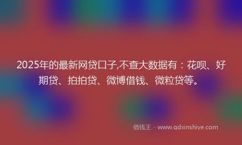 2025年的最新网贷口子,不查大数据有：花呗、好期贷、拍拍贷、微博借钱、微粒贷等。
