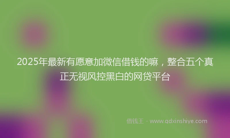 2025年最新有愿意加微信借钱的嘛，整合五个真正无视风控黑白的网贷平台