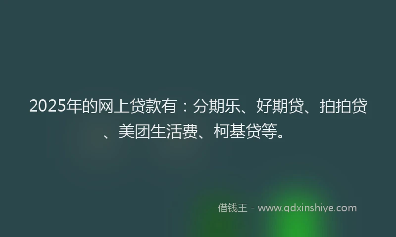 2025年的网上贷款有：分期乐、好期贷、拍拍贷、美团生活费、柯基贷等。