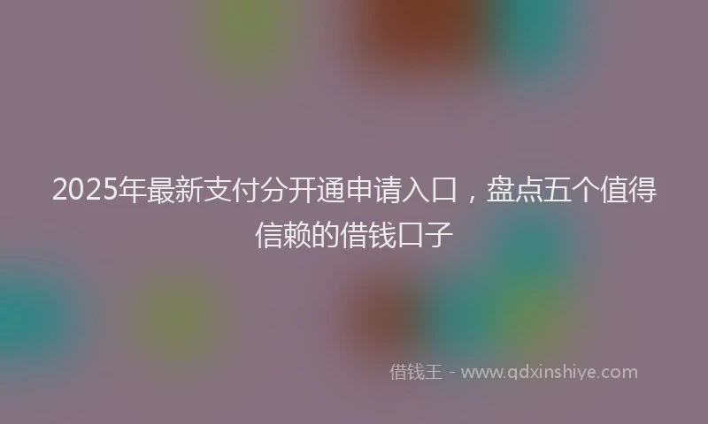 2025年最新支付分开通申请入口，盘点五个值得信赖的借钱口子