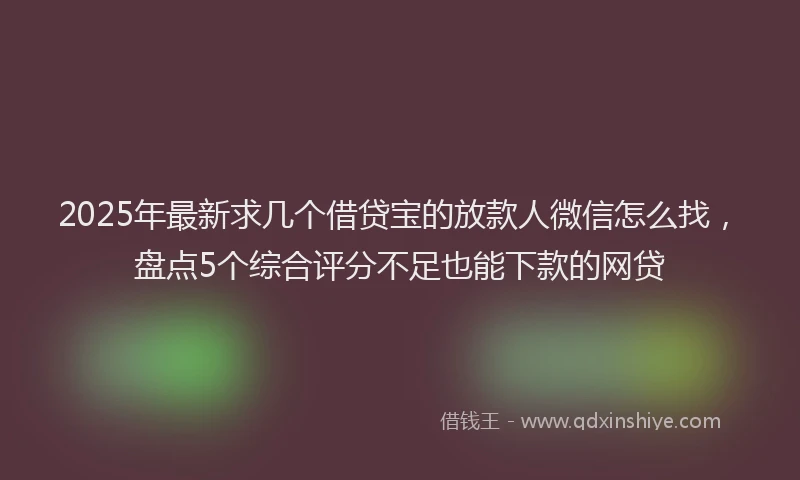 2025年最新求几个借贷宝的放款人微信怎么找，盘点5个综合评分不足也能下款的网贷