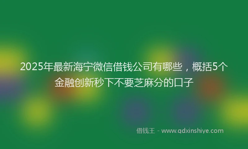 2025年最新海宁微信借钱公司有哪些，概括5个金融创新秒下不要芝麻分的口子