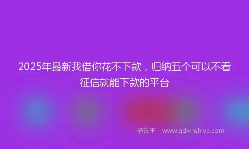 2025年最新我借你花不下款，归纳五个可以不看征信就能下款的平台