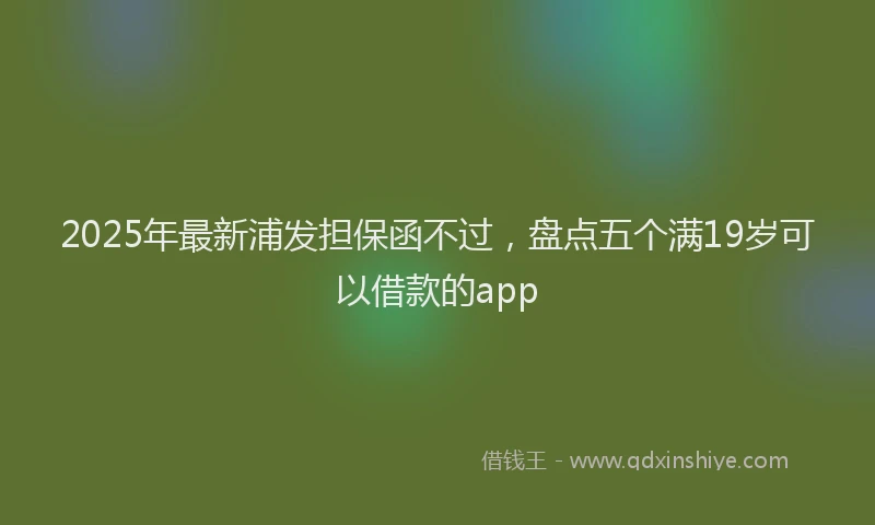 2025年最新浦发担保函不过，盘点五个满19岁可以借款的app