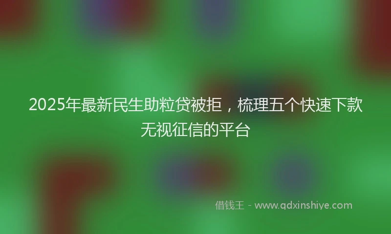 2025年最新民生助粒贷被拒，梳理五个快速下款无视征信的平台