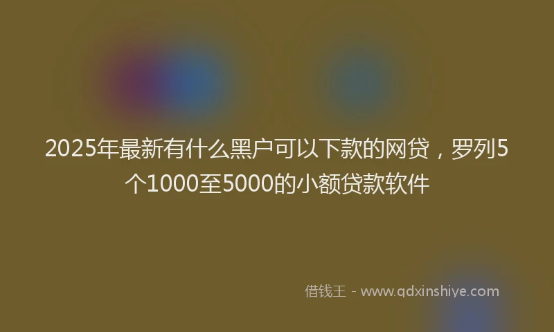 2025年最新有什么黑户可以下款的网贷，罗列5个1000至5000的小额贷款软件