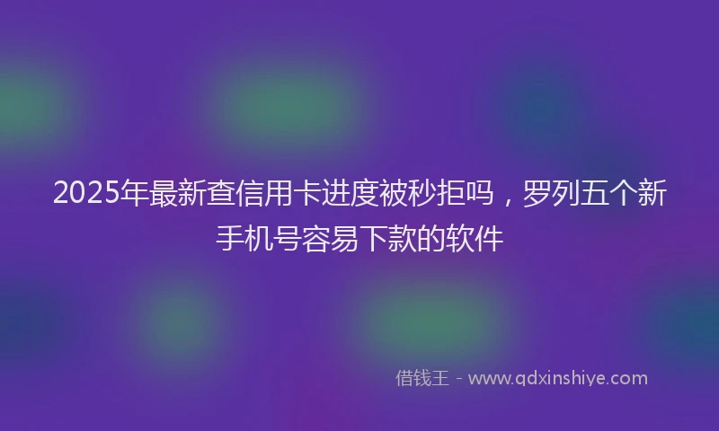 2025年最新查信用卡进度被秒拒吗，罗列五个新手机号容易下款的软件