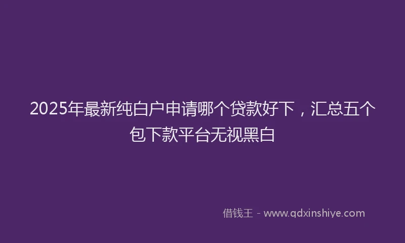 2025年最新纯白户申请哪个贷款好下，汇总五个包下款平台无视黑白
