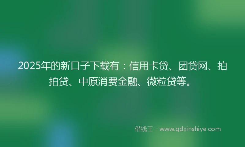 2025年的新口子下载有：信用卡贷、团贷网、拍拍贷、中原消费金融、微粒贷等。
