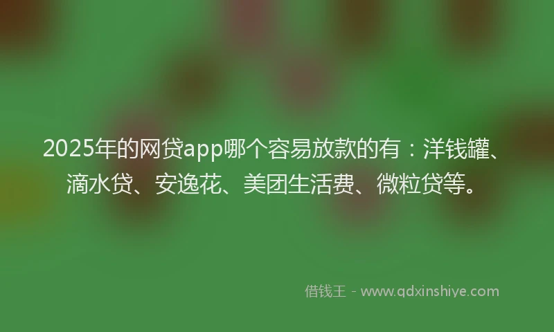 2025年的网贷app哪个容易放款的有：洋钱罐、滴水贷、安逸花、美团生活费、微粒贷等。