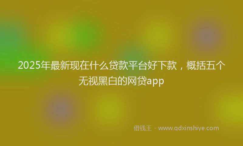 2025年最新现在什么贷款平台好下款，概括五个无视黑白的网贷app