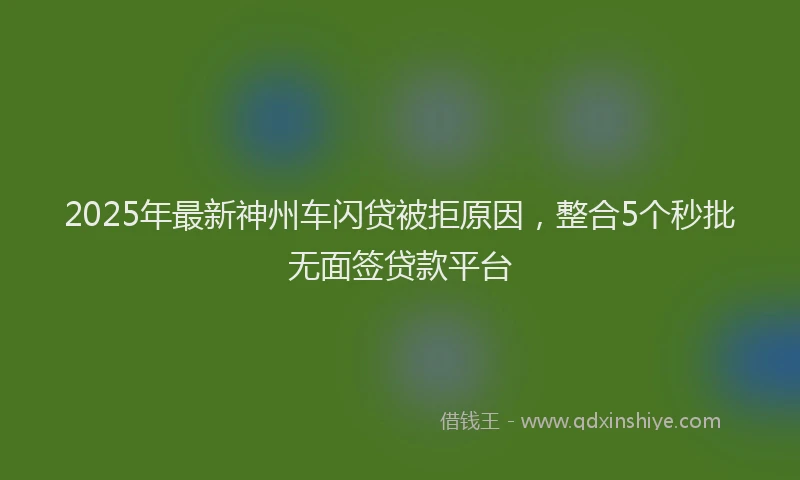 2025年最新神州车闪贷被拒原因，整合5个秒批无面签贷款平台