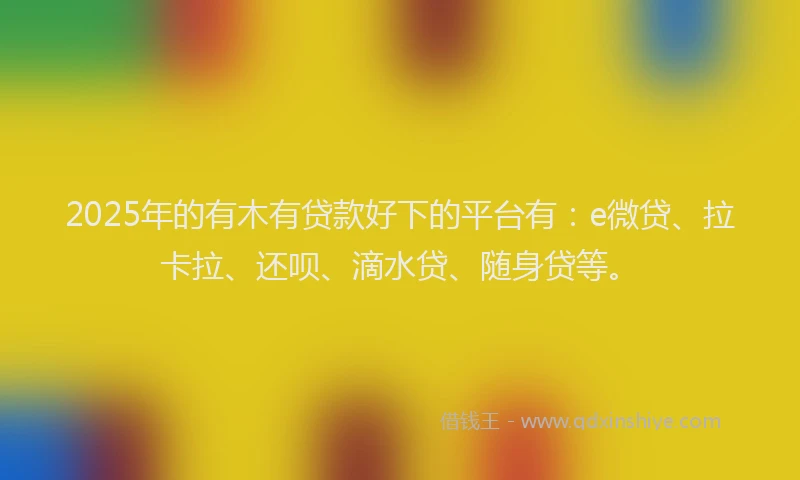 2025年的有木有贷款好下的平台有：e微贷、拉卡拉、还呗、滴水贷、随身贷等。