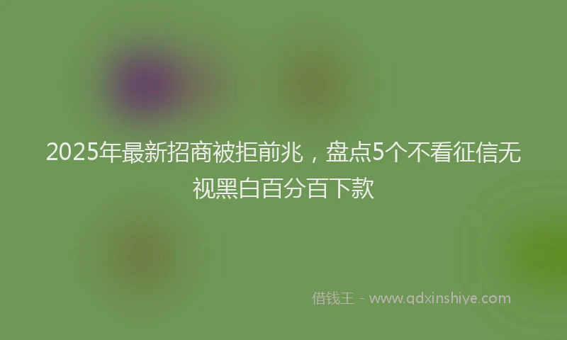 2025年最新招商被拒前兆，盘点5个不看征信无视黑白百分百下款