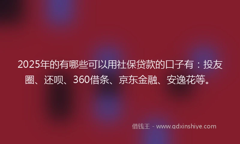 2025年的有哪些可以用社保贷款的口子有：投友圈、还呗、360借条、京东金融、安逸花等。
