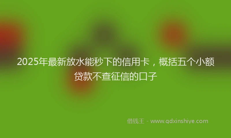 2025年最新放水能秒下的信用卡，概括五个小额贷款不查征信的口子