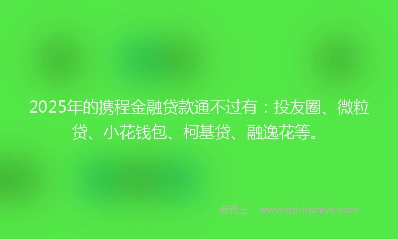 2025年的携程金融贷款通不过有：投友圈、微粒贷、小花钱包、柯基贷、融逸花等。