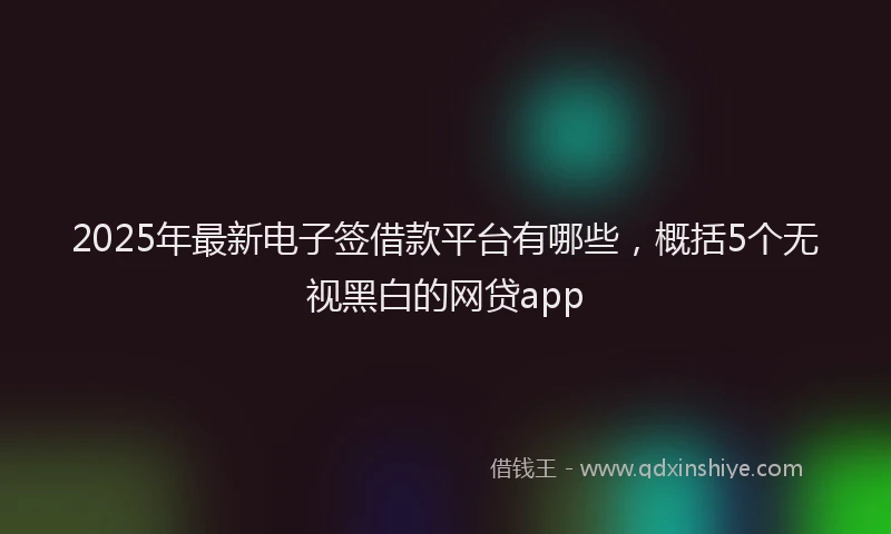 2025年最新电子签借款平台有哪些，概括5个无视黑白的网贷app