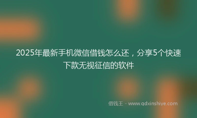 2025年最新手机微信借钱怎么还，分享5个快速下款无视征信的软件