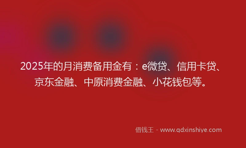 2025年的月消费备用金有：e微贷、信用卡贷、京东金融、中原消费金融、小花钱包等。