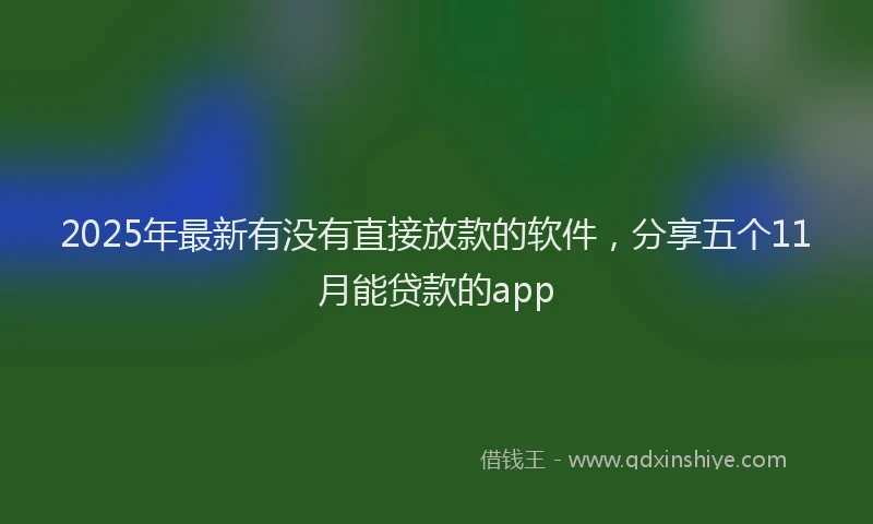 2025年最新有没有直接放款的软件，分享五个11月能贷款的app