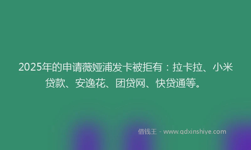 2025年的申请薇娅浦发卡被拒有：拉卡拉、小米贷款、安逸花、团贷网、快贷通等。