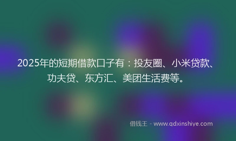 2025年的短期借款口子有：投友圈、小米贷款、功夫贷、东方汇、美团生活费等。