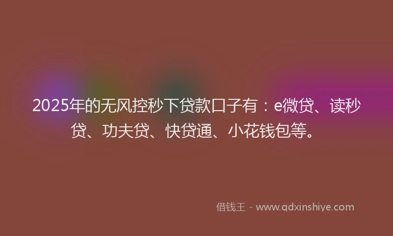 2025年的无风控秒下贷款口子有：e微贷、读秒贷、功夫贷、快贷通、小花钱包等。