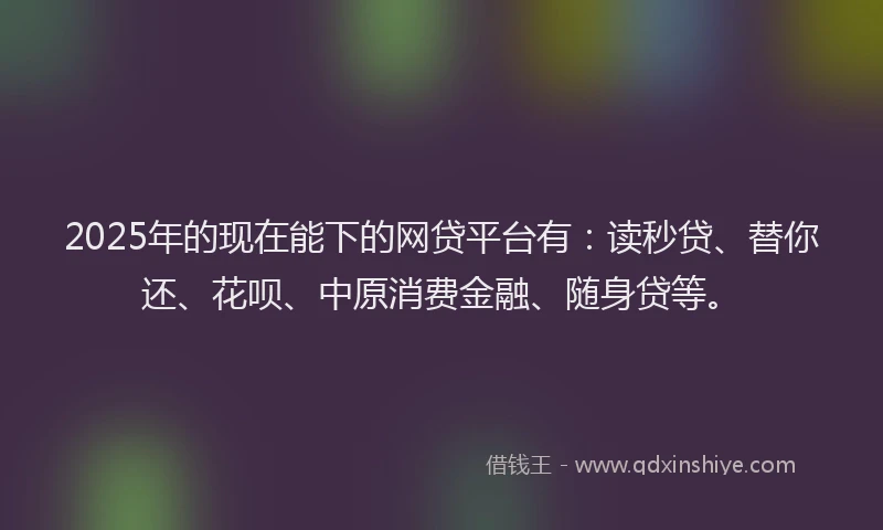 2025年的现在能下的网贷平台有：读秒贷、替你还、花呗、中原消费金融、随身贷等。