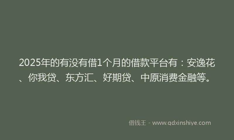 2025年的有没有借1个月的借款平台有：安逸花、你我贷、东方汇、好期贷、中原消费金融等。