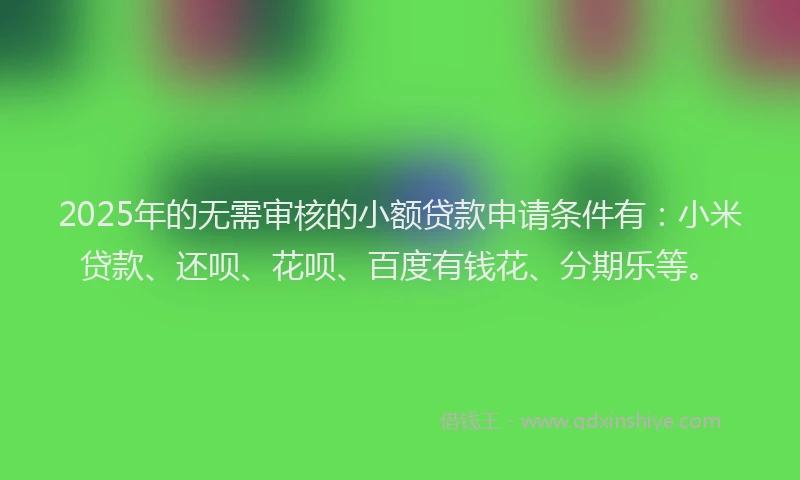 2025年的无需审核的小额贷款申请条件有：小米贷款、还呗、花呗、百度有钱花、分期乐等。
