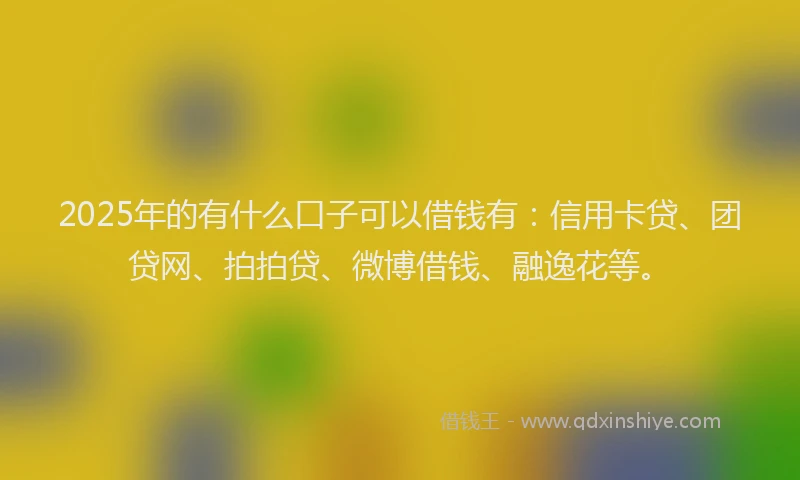 2025年的有什么口子可以借钱有：信用卡贷、团贷网、拍拍贷、微博借钱、融逸花等。