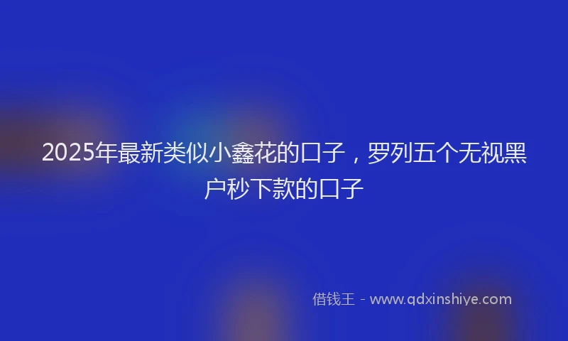 2025年最新类似小鑫花的口子，罗列五个无视黑户秒下款的口子