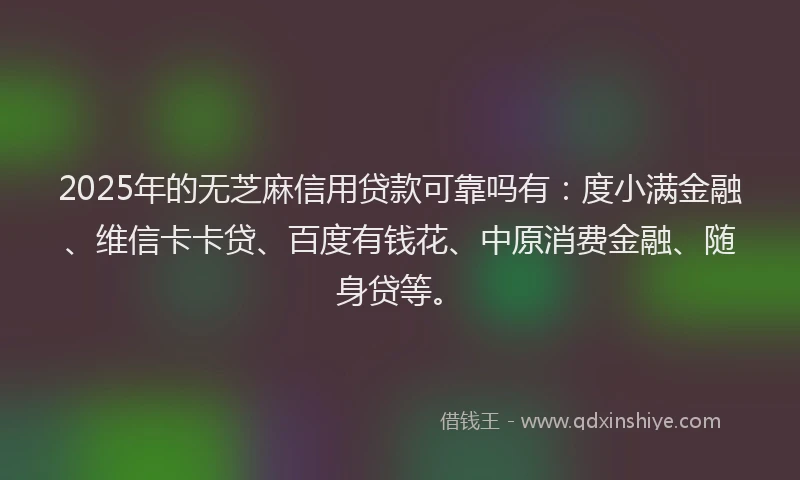 2025年的无芝麻信用贷款可靠吗有：度小满金融、维信卡卡贷、百度有钱花、中原消费金融、随身贷等。