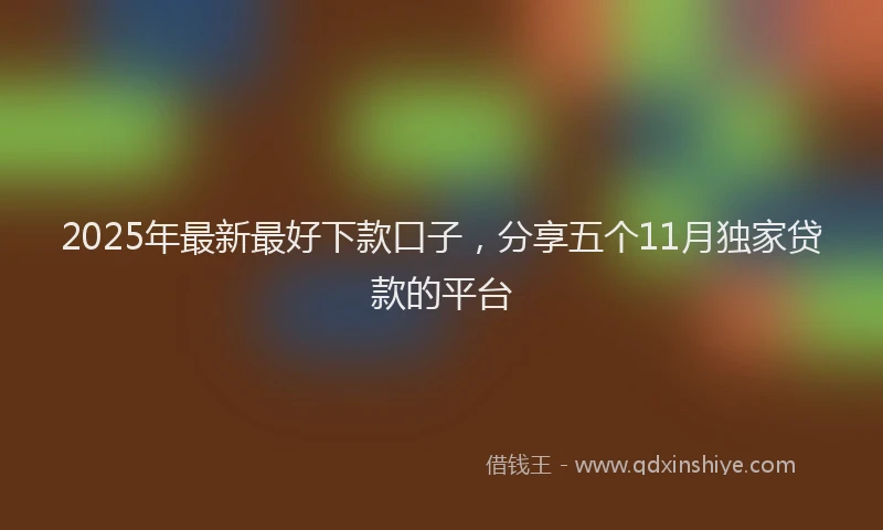 2025年最新最好下款口子，分享五个11月独家贷款的平台