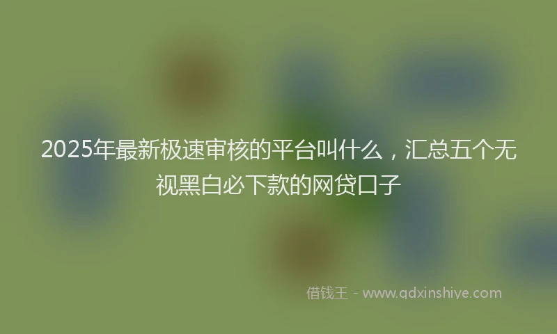 2025年最新极速审核的平台叫什么，汇总五个无视黑白必下款的网贷口子