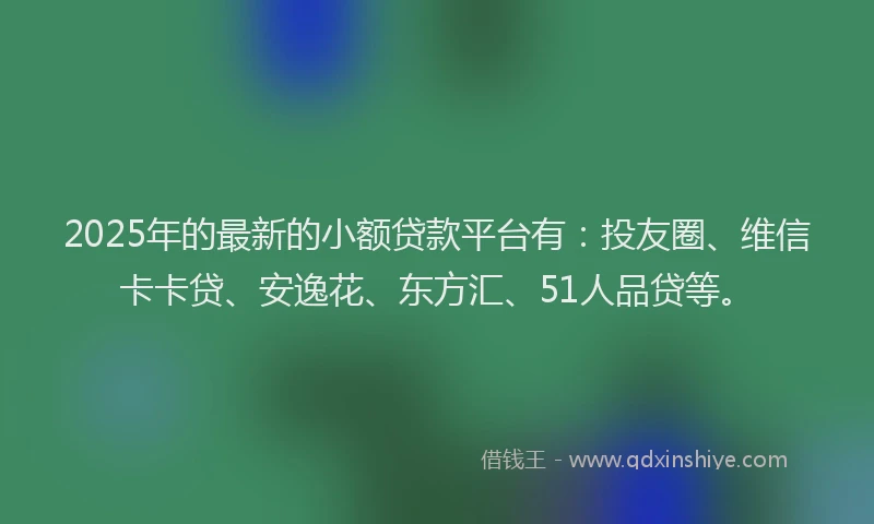 2025年的最新的小额贷款平台有：投友圈、维信卡卡贷、安逸花、东方汇、51人品贷等。