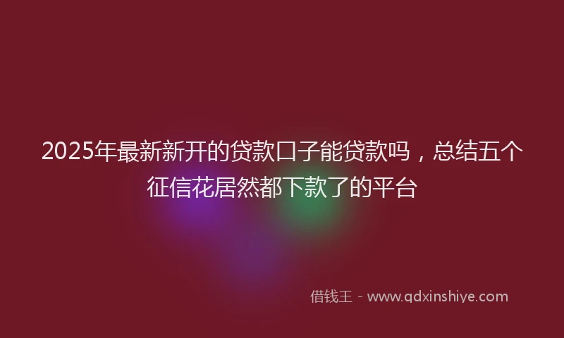 2025年最新新开的贷款口子能贷款吗，总结五个征信花居然都下款了的平台